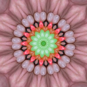 Elixir of Vibrations