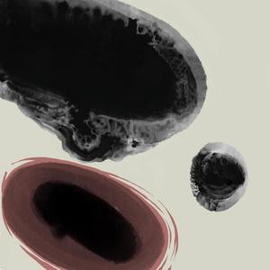 Last Visit / Remembrance (feat. Salih Korkut Peker)