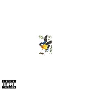 Anxious Minds (feat. nij) (Explicit)