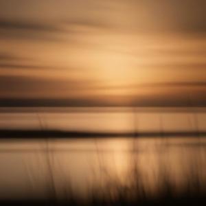 One day (feat. Lone Avocado)