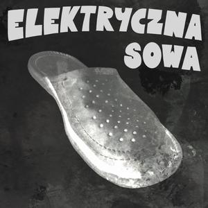 Elektryczna Sowa(feat. Młody Budda)