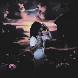 DWY (feat. RonnDinero) (Explicit)