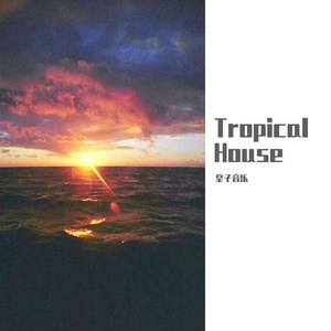 Tropical House 皇子 Remix
