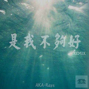 《是我不够好》Remix-Rays陈袁