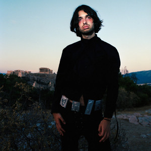 The Olive Tree (Nighttime Version)