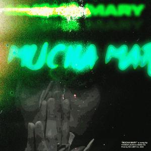 Mucha Mary (feat. Hiena Hg) (Explicit)