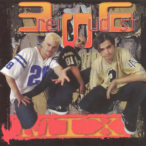 Ai plecat (Remix)