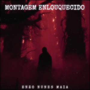 MONTAGEM ENLOUQUECIDO