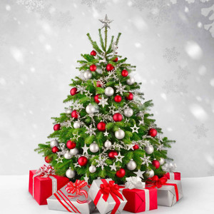 Christmas Song (Trap Instrumental)