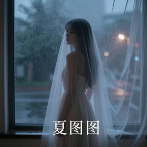 梦一场-夏图图