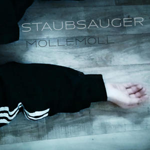Staubsauger