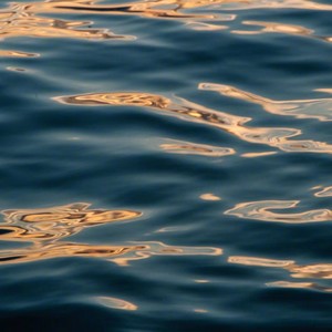 等星星都睡着了再说想你