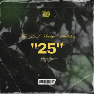 25 (Explicit)