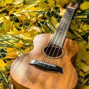 两个人的剧场（热歌串烧版）-小酷说书