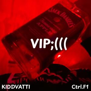 VIP : (feat. Ctrl F1)