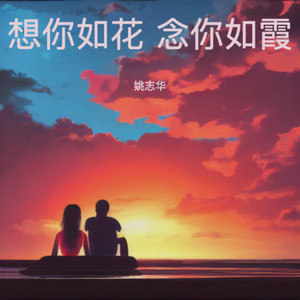 想你如花  念你如霞 (电吉他版)