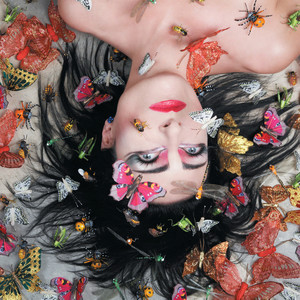 Siouxsie - Into A Swan (Album)
