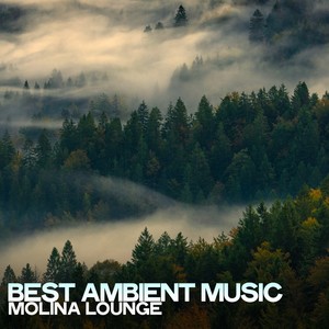 Best Ambient Music