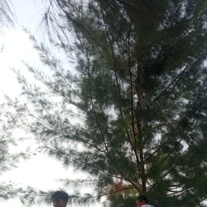 Yahabibal Kolbi (Remastered 2023)