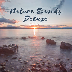 Nature Sounds Deluxe – Nature Music for Yoga, Meditation, Relaxation, Spa