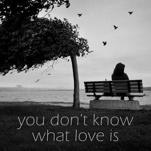 You Don't Know What Love Is