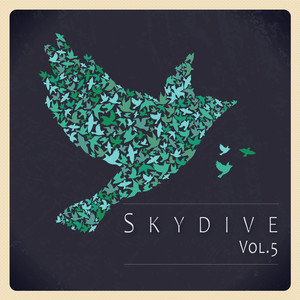 Skydive, Vol. 05