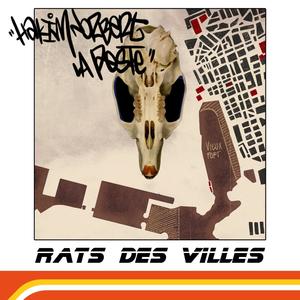 Rats des Villes (feat. Hakim Norbert & NM Scratcherz)