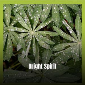 Bright Spirit