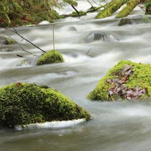 Mud and Rocks River - Single