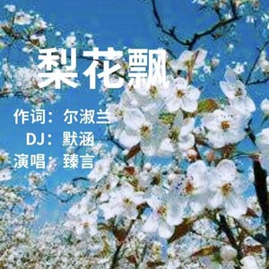 梨花飘（DJ默涵版）