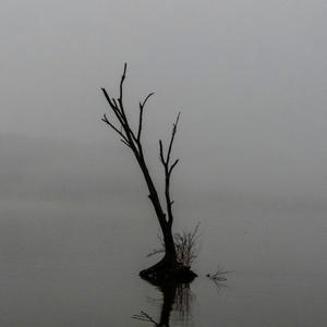 Metacom (feat. Kyle Anderson)