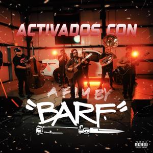 Activados con "BARF" (Explicit)