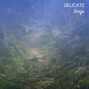 Binaural Beats Sleep Serenity