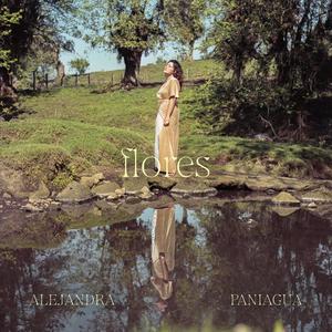 El Aguante (versión acústica)