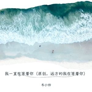 远方的我在等着你 (DJ版)