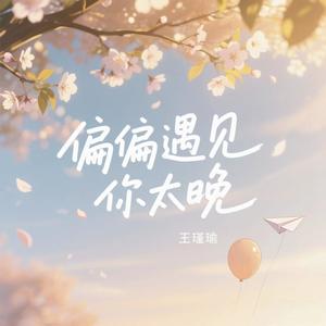 偏偏遇见你太晚