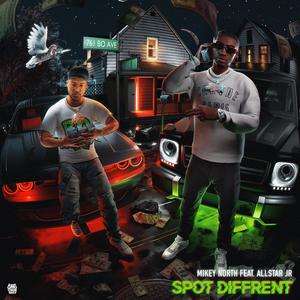 Spot Different (feat. Allstar Jr) [Explicit]
