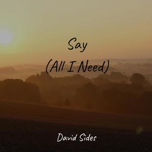 Say (All I Need)