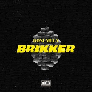 Brikker (Explicit)