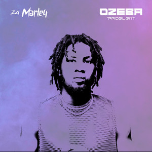 Ozeba (Problem)