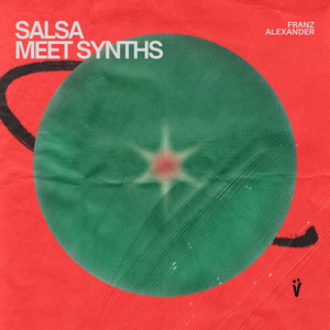 Salsa Meet Synths (Extended Mix)