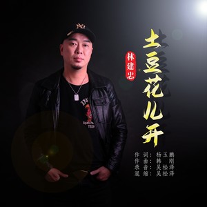 土豆花儿开