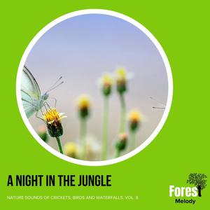 A Night in the Jungle - Nature Sounds of Crickets, Birds and Waterfalls, Vol. 8