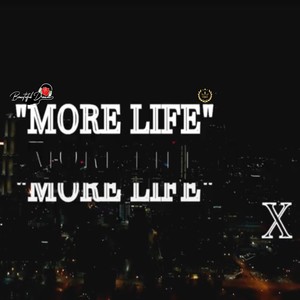 More Life (Explicit)