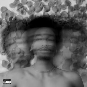 PARADICE (Explicit)
