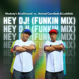 Hey DJ! (funkin' mix)