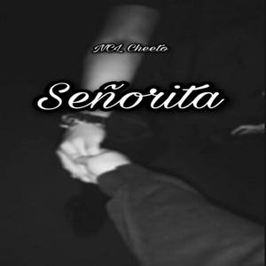 Señorita (Explicit)