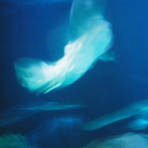 Catalyst (feat. Thomas Maggart) (Explicit)