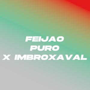 Mega Ritmada - Feijão Puro x Imbroxavel (DJ PR4 Remix)