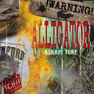 Alligator (Explicit)